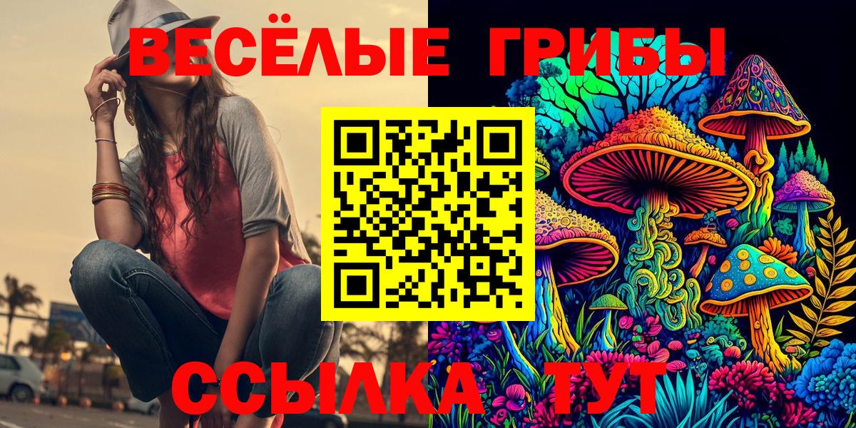 Псилоцибиновые грибы ЛСД  Вход с VPN  где купить наркоту  Красный Сулин 